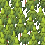 Foreground
